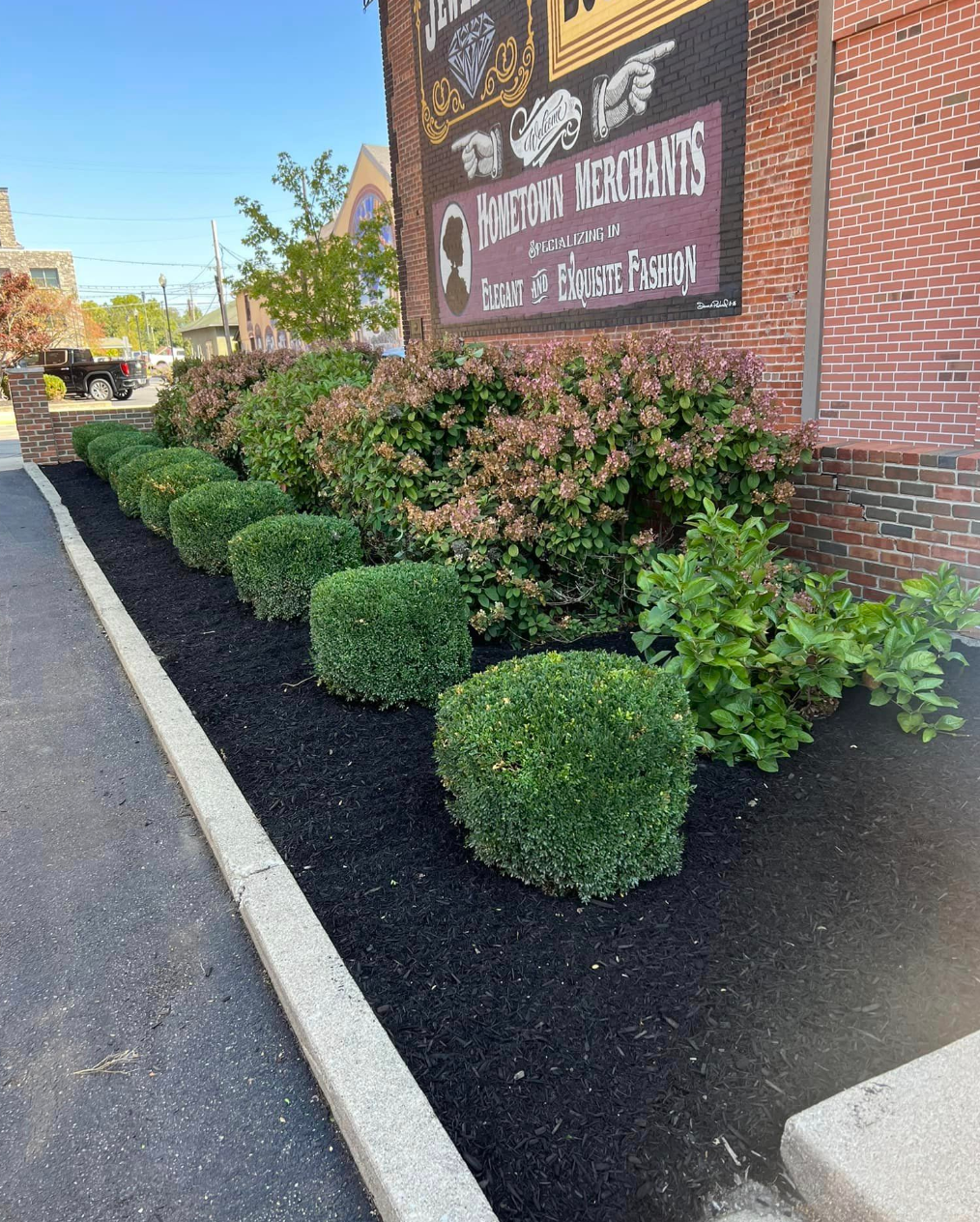 A row of bushes are lined up in front of a brick building.