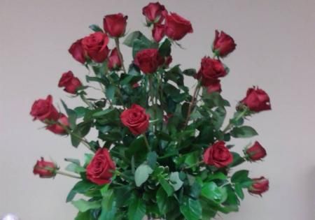 Bouquet of red roses with green leaves in a vase against a plain wall