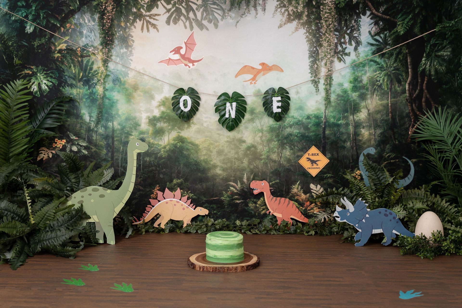 Crystal Justine Photography - Maple Ridge - Cake Smash