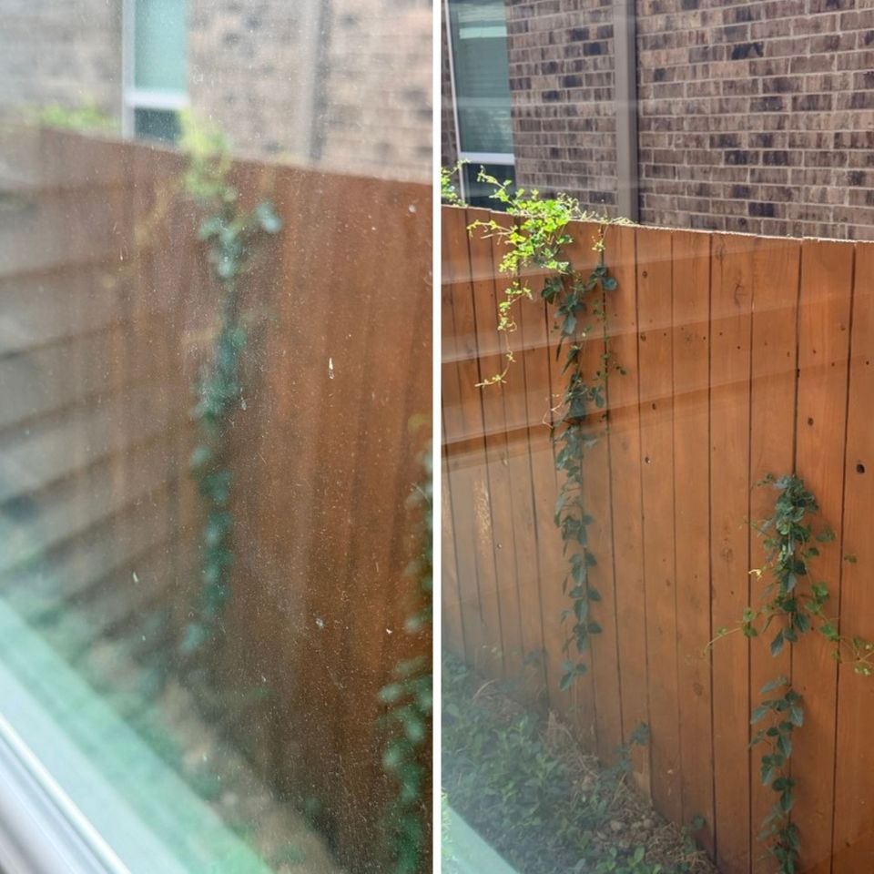 The same pane before and after cleaning - hazy and spotted on the left, clear enough to see individual leaves and brick on the right