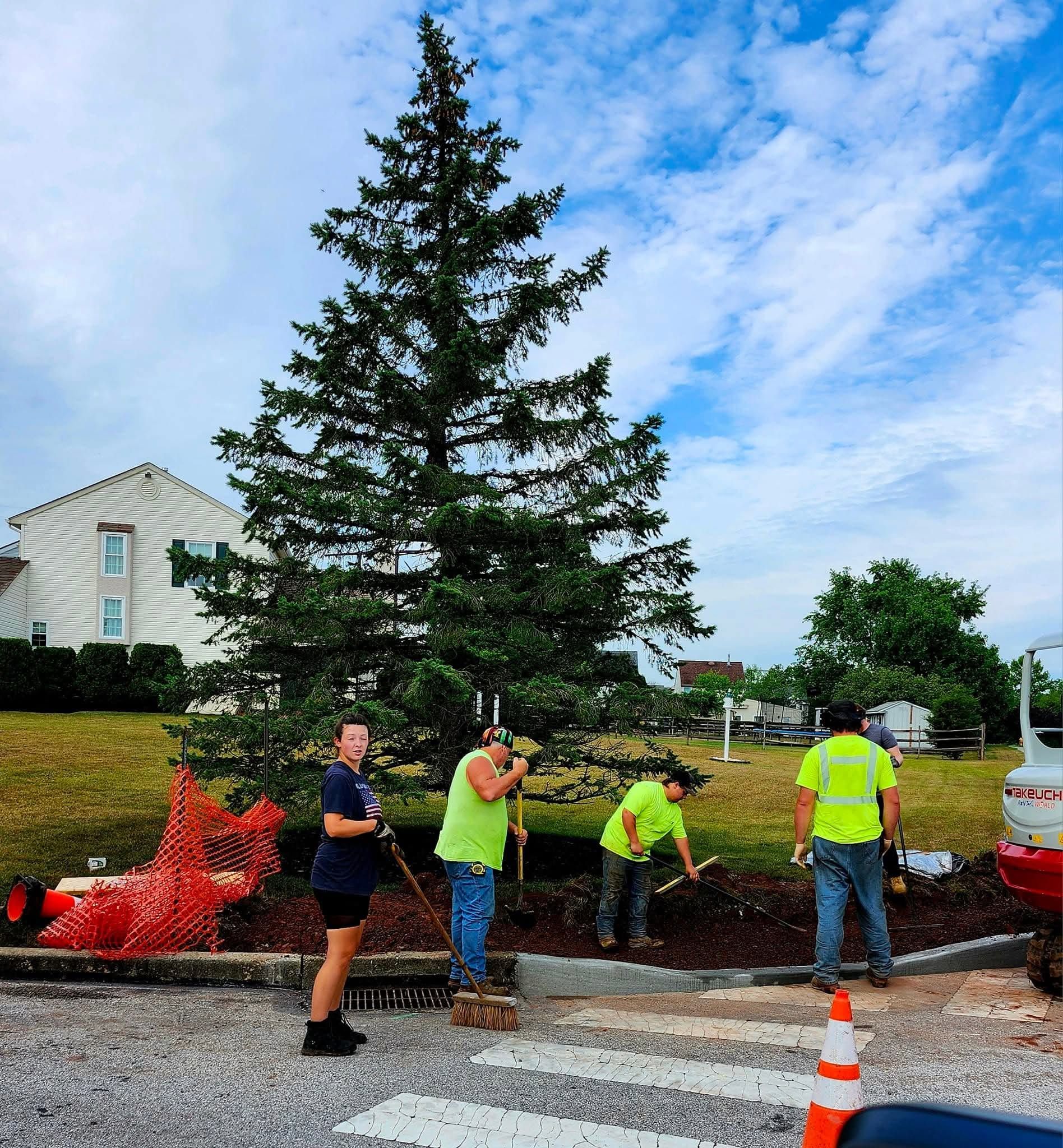 People planting a large evergreen tree at a roadside construction site under a blue sky