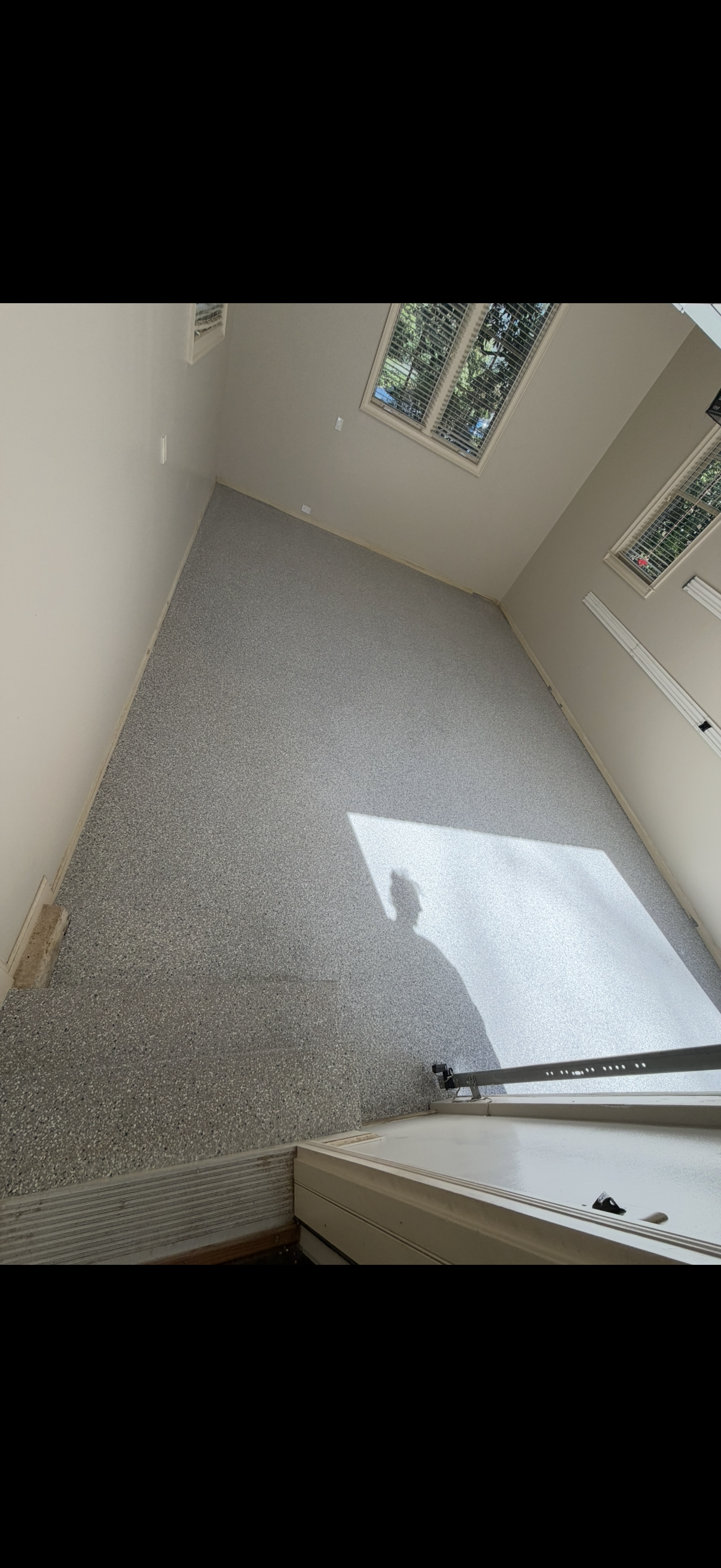 Empty carpeted room with white walls, two windows, and sunlight on the floor.