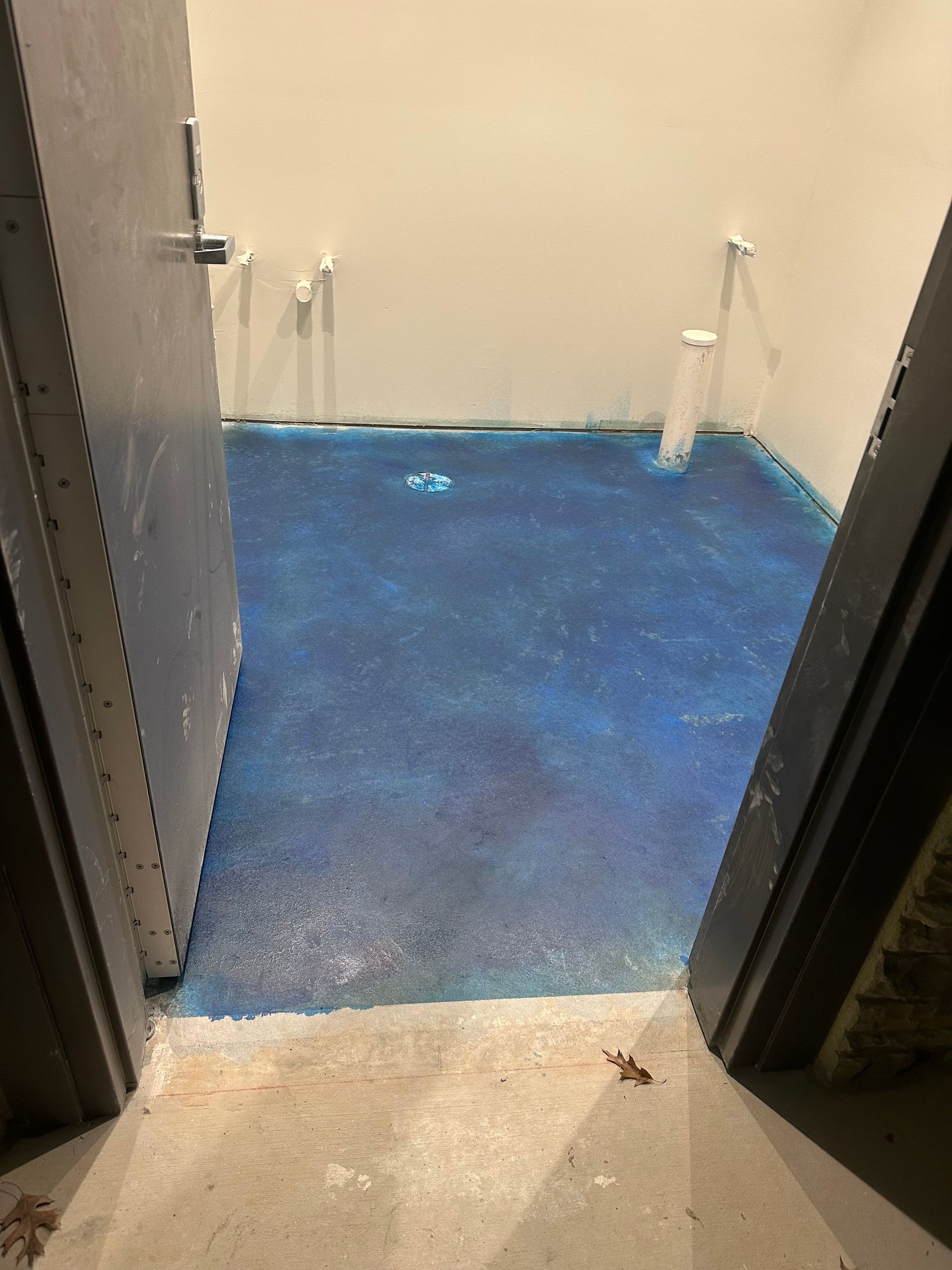 Blue-carpeted empty room with beige walls, viewed through an open doorway.