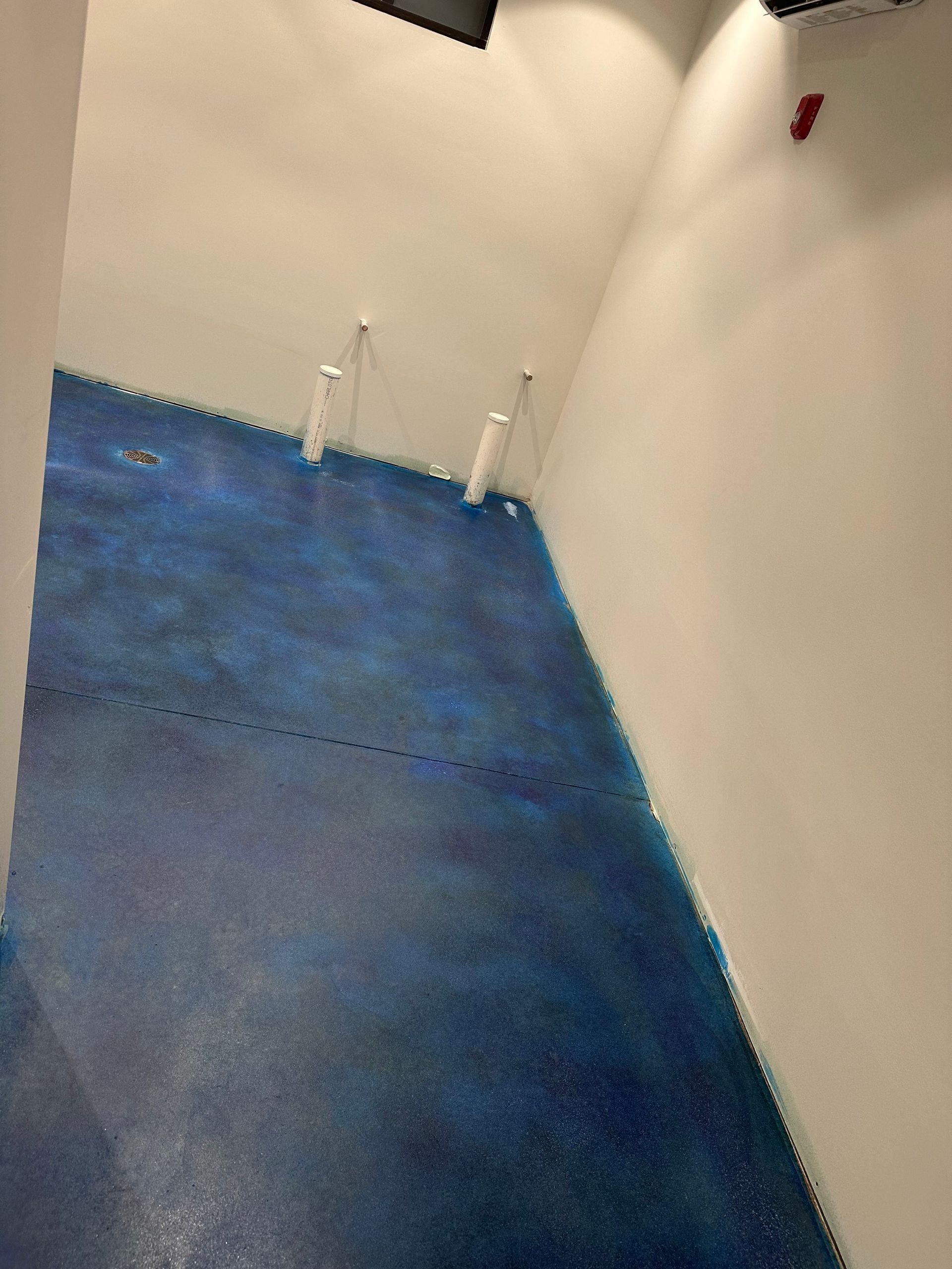 Blue carpeted corner of an empty room with white walls and a small red wall fixture