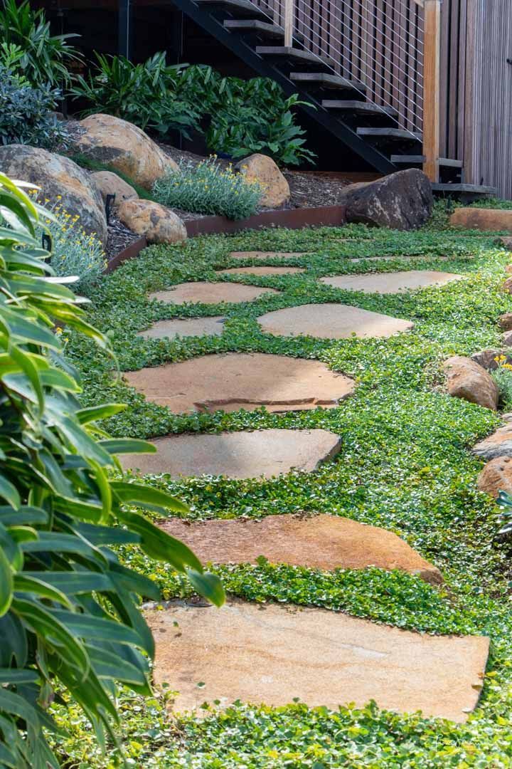 Natural stone steps with native groundcover in Northern Rivers