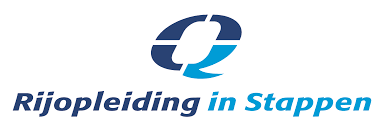 RIS logo