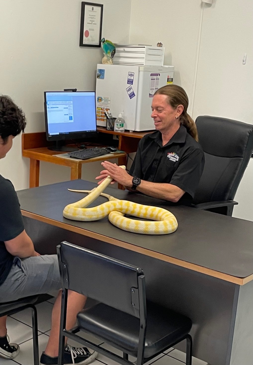 Our Practice Hammett Street Veterinary Surgery