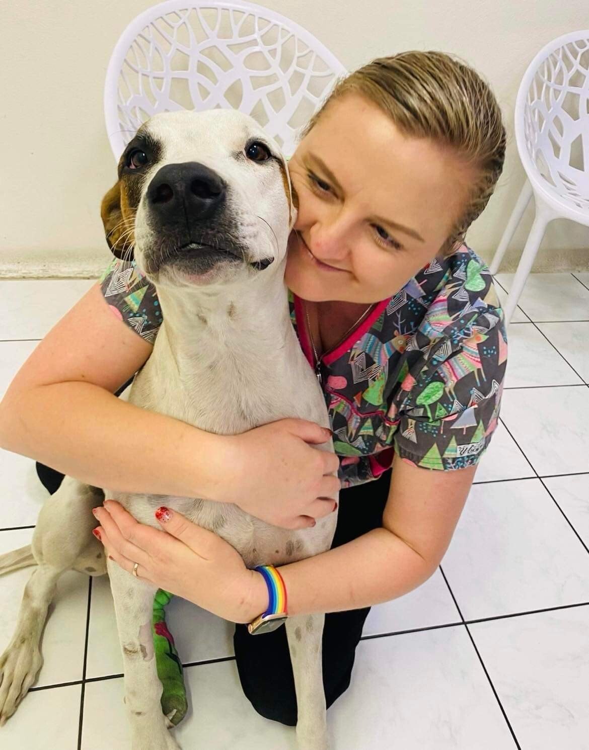 Our Practice Hammett Street Veterinary Surgery