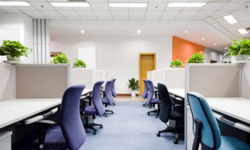 Modern open office with rows of desks, purple and blue chairs, and potted plants under bright ceiling lights