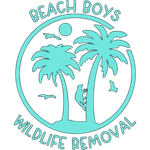 A logo for Beach Boys Wildlife Removal with palm trees and birds