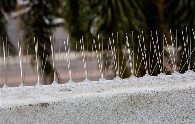 A row of spikes on a concrete wall.