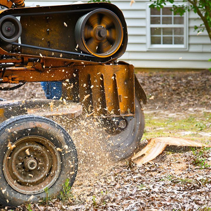 Stump Removal — Moulton, AL — Streamline Cutting LLC Stump Removal — Moulton, AL — Streamline Cutting LLC