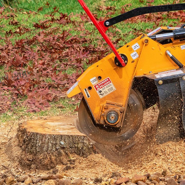 Stump Grinding — Moulton, AL — Streamline Cutting LLC