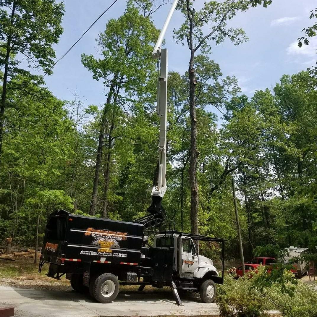 Cutting Tree — Moulton, AL — Streamline Cutting LLC