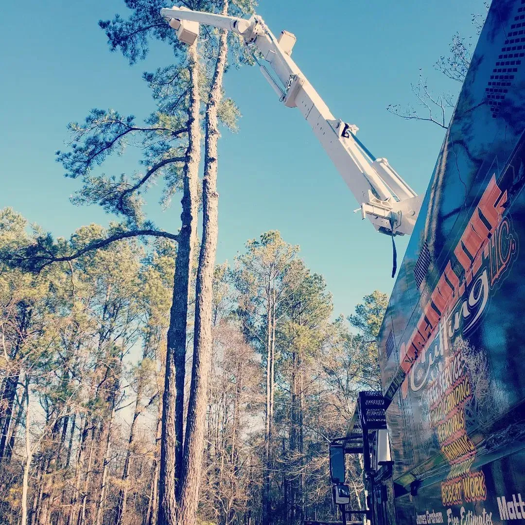 Tall Tree Removal — Moulton, AL — Streamline Cutting LLC Tall Tree Removal — Moulton, AL — Streamline Cutting LLC