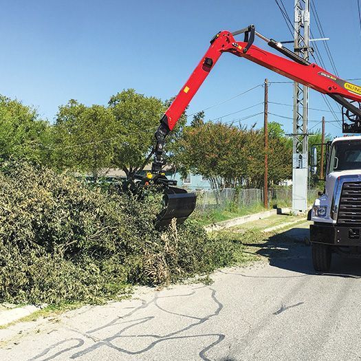 Tree Stump — Moulton, AL — Streamline Cutting LLC