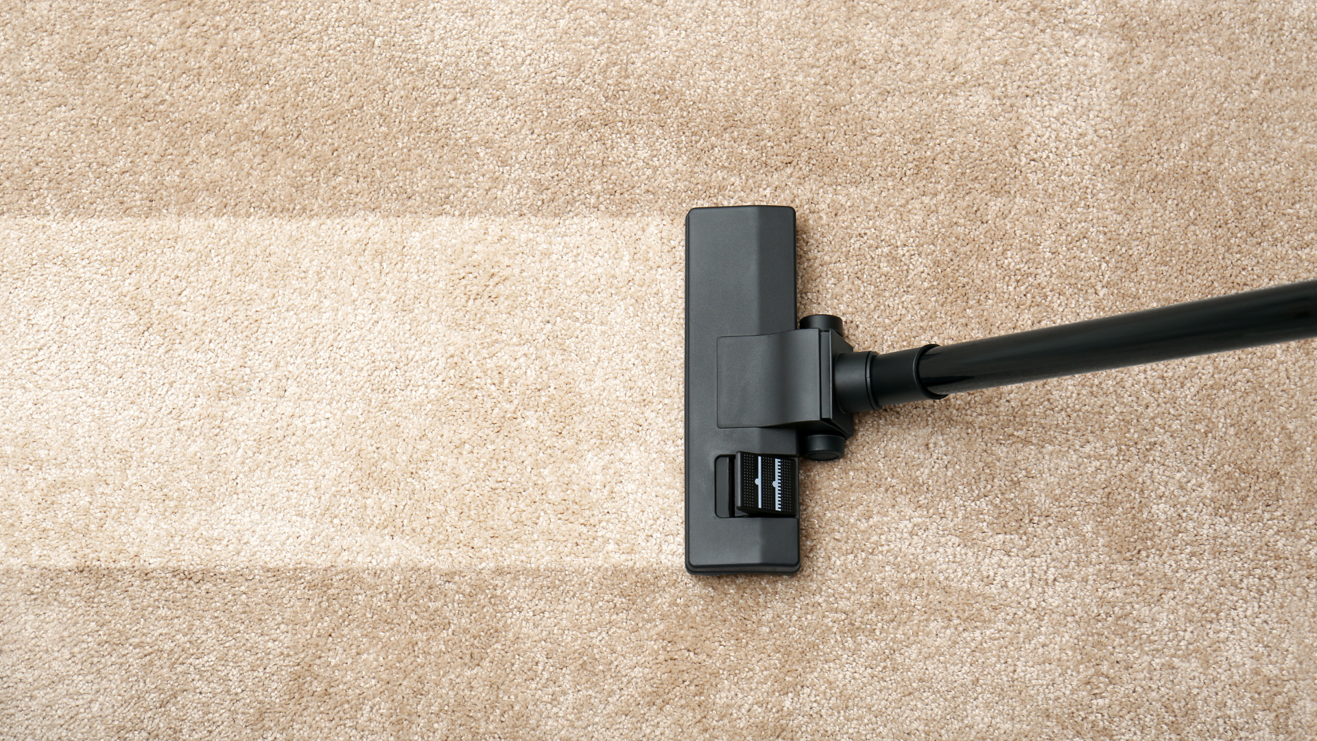 Freshly cleaned carpet result after professional service