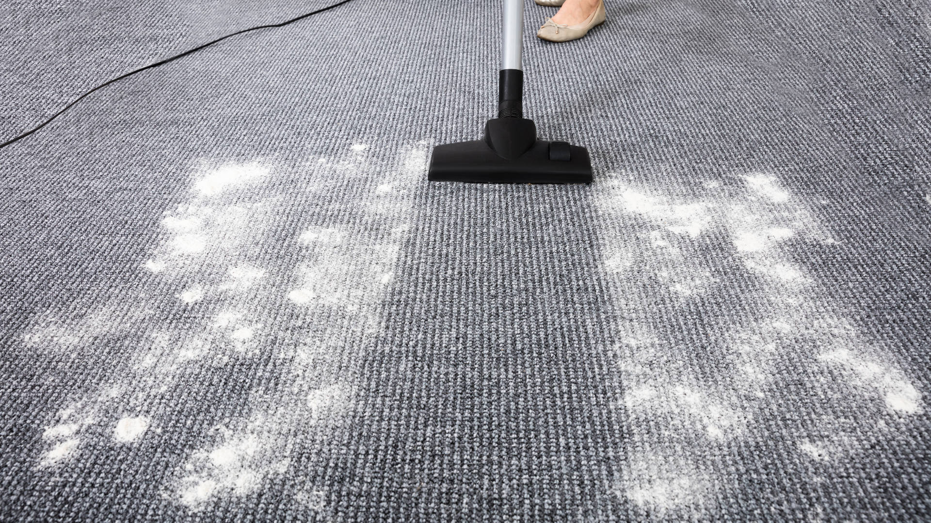 Office deep cleaning service in progress