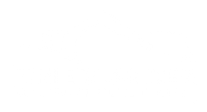 Blank white image with a small pale blue rectangle near the bottom right.