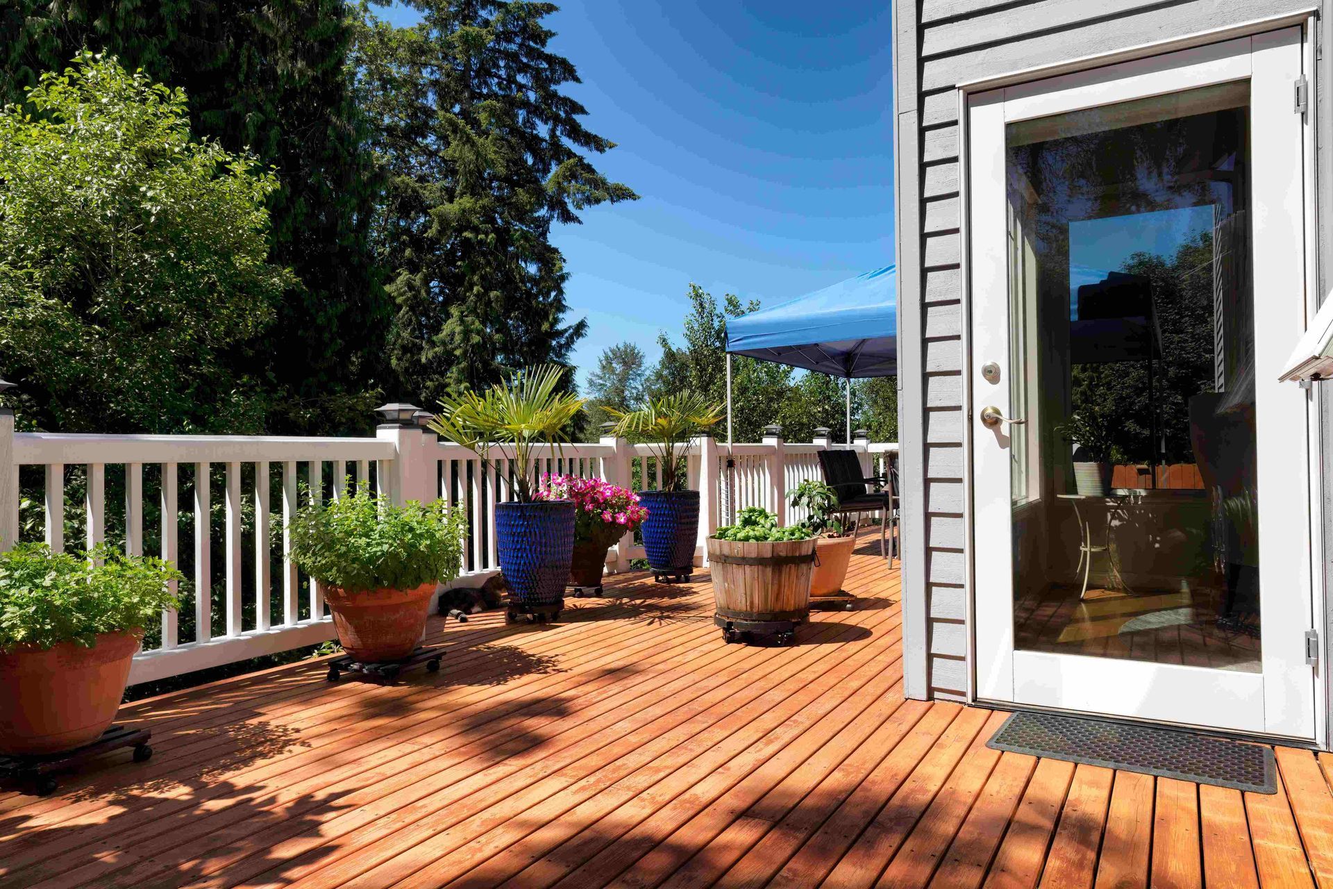a deck with potted plants and a blue canopy