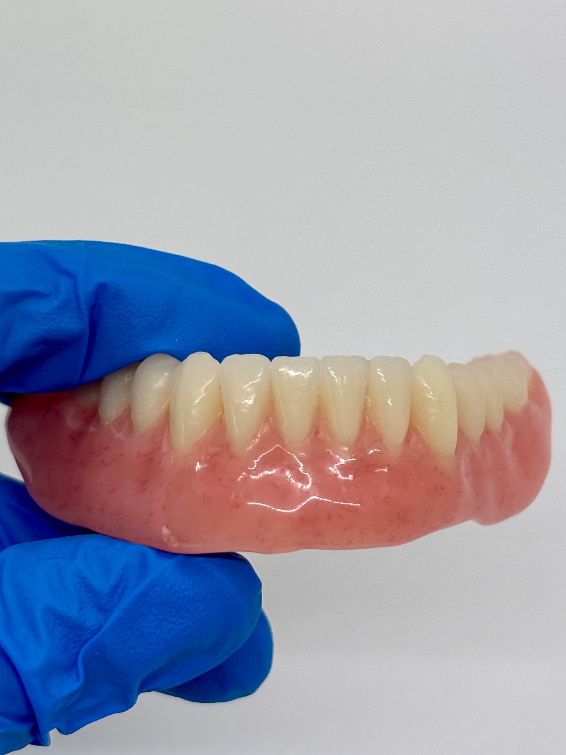 Gloved Hand Holding a Realistic Set of Pink-and-white Dentures — Precise Dentures in Berserker, QLD