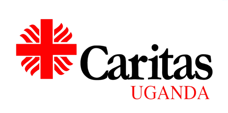 Partner Organization