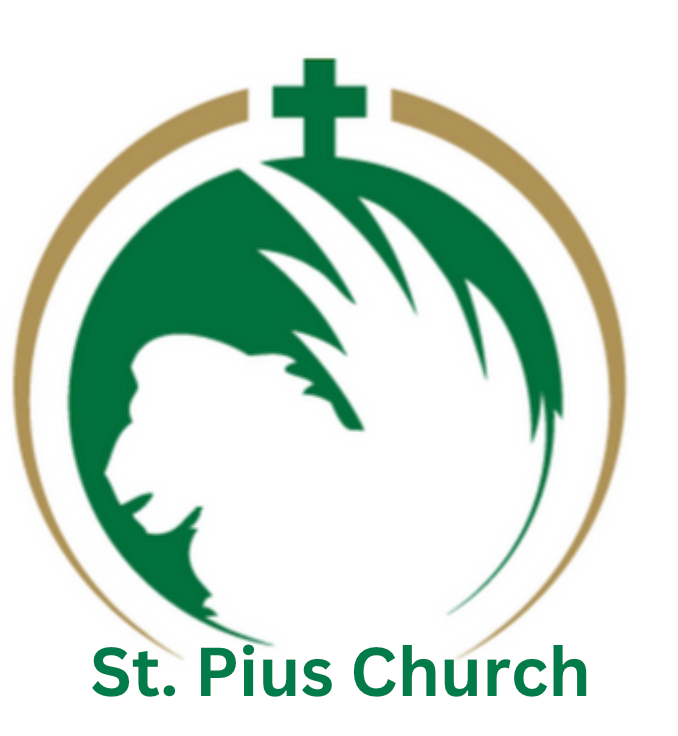 Partner Organization