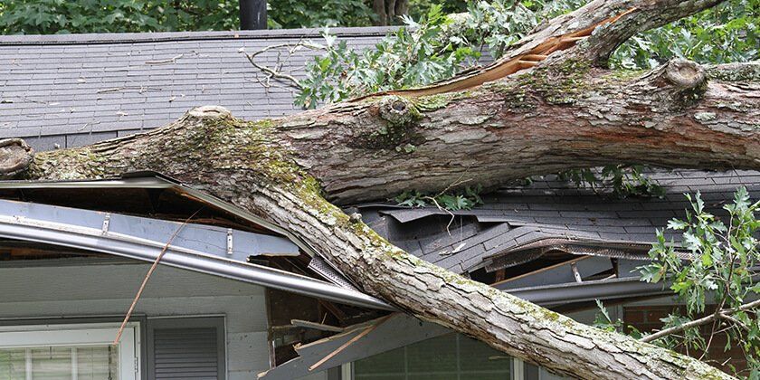 Tree Wrecked The Roof β Haslet, TX β Super Roofman