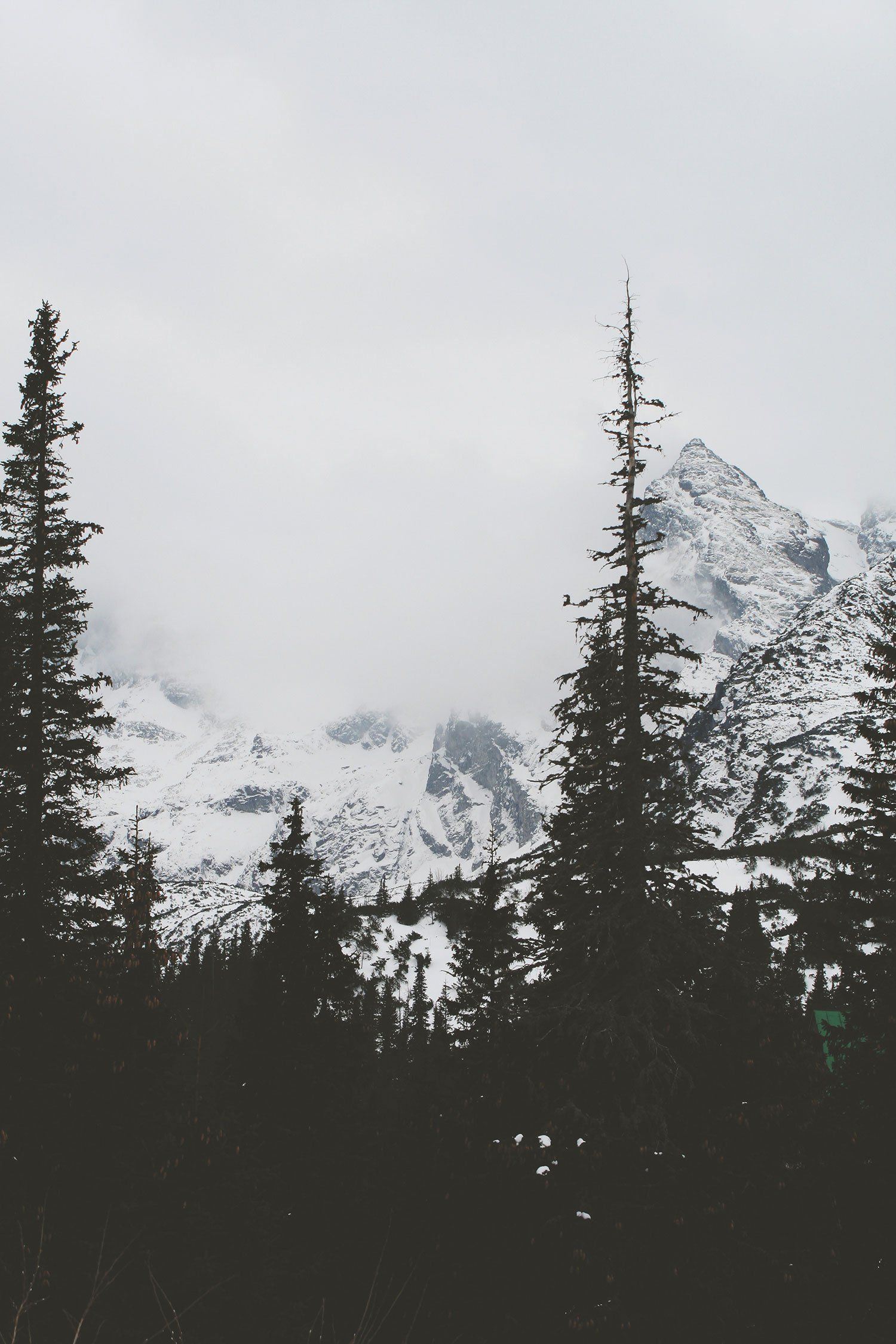 A black and white photo of a snowy mountain with trees in the foreground