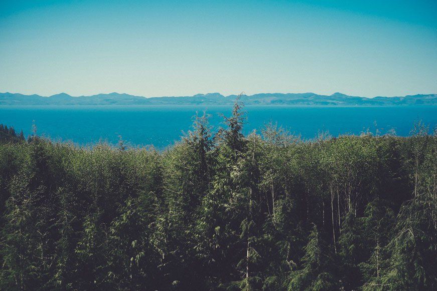 mountain view