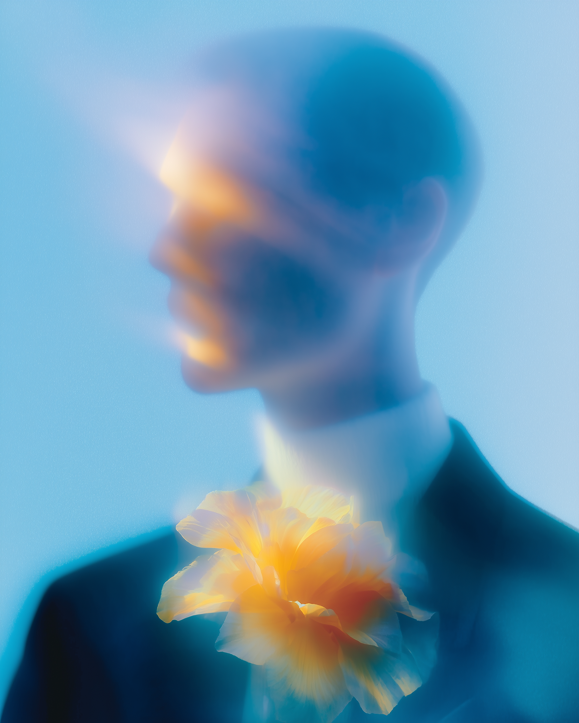 A blurred profile view of a figure in a dark suit, illuminated by a warm, golden light on their face and a flower.