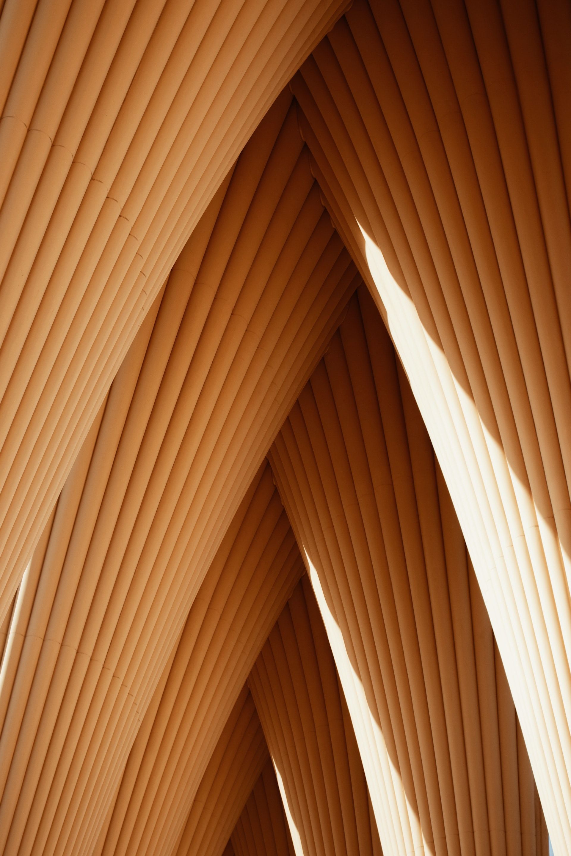 Curved, light-brown wooden beams creating an archway, with light shining through the gaps.