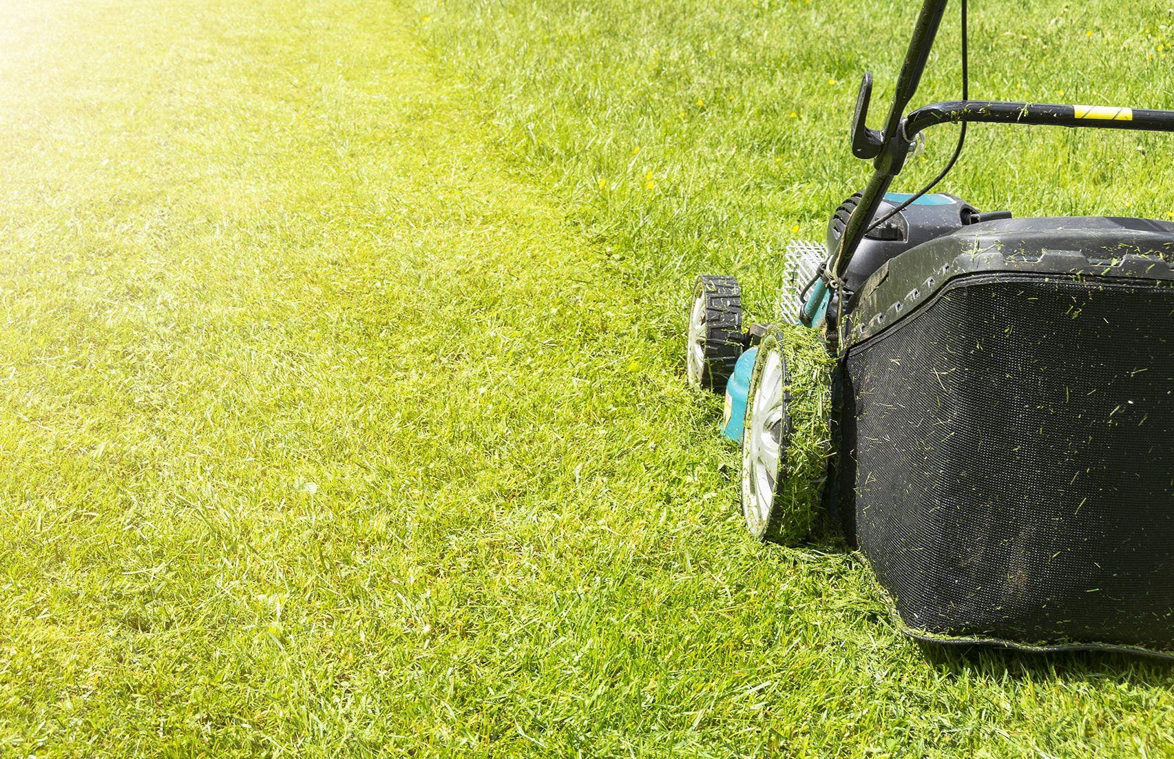  A lawnmower cutting grass