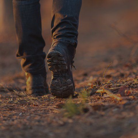 wandern