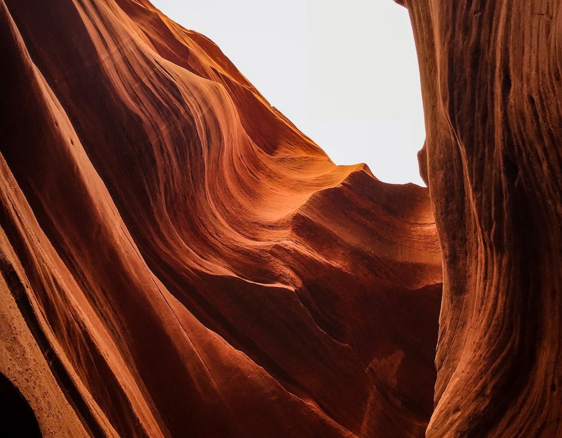 Red sandstone slot canyon walls, sculpted by water, with sunlight at the top.