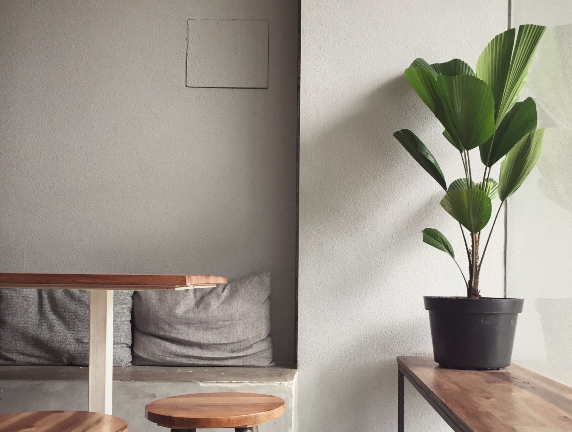 A potted plant is sitting on a wooden table in a room.
