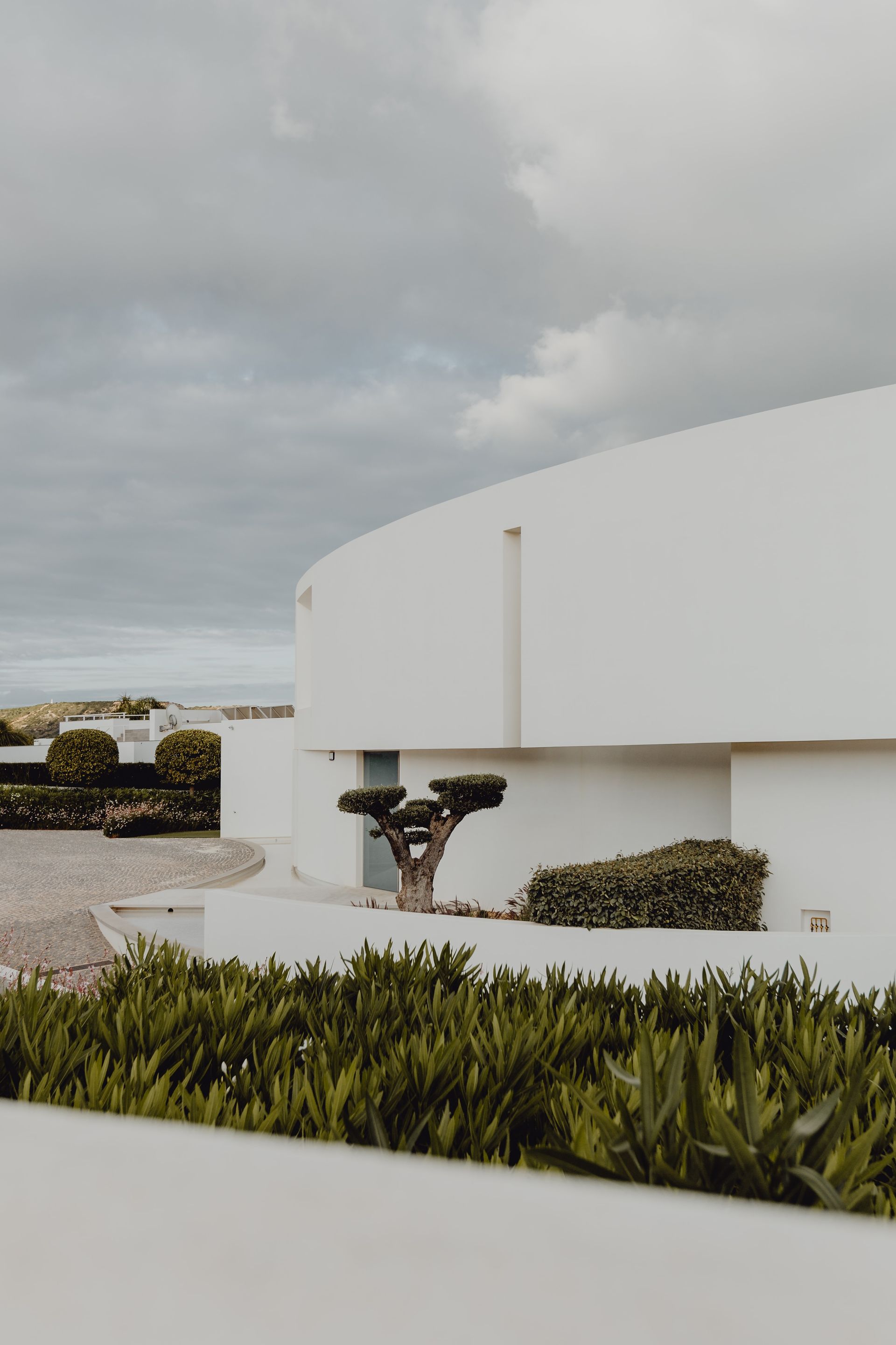 A white building with a tree in front of it.