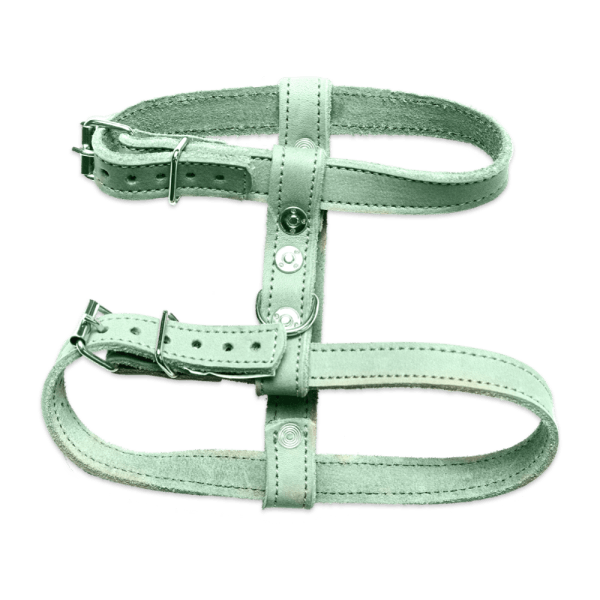 Mint Harness