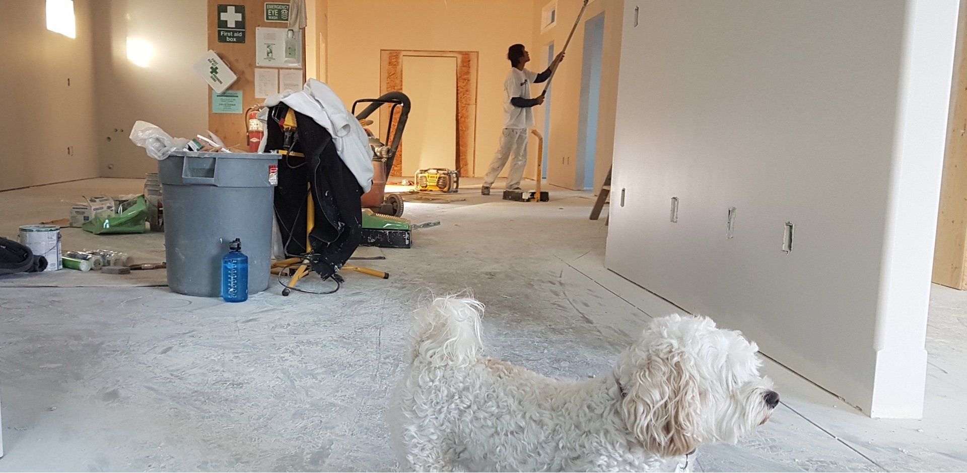 Professional Painting