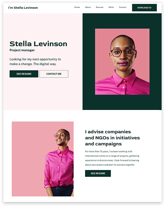 Professional CV Website builder Professional CV responsive template