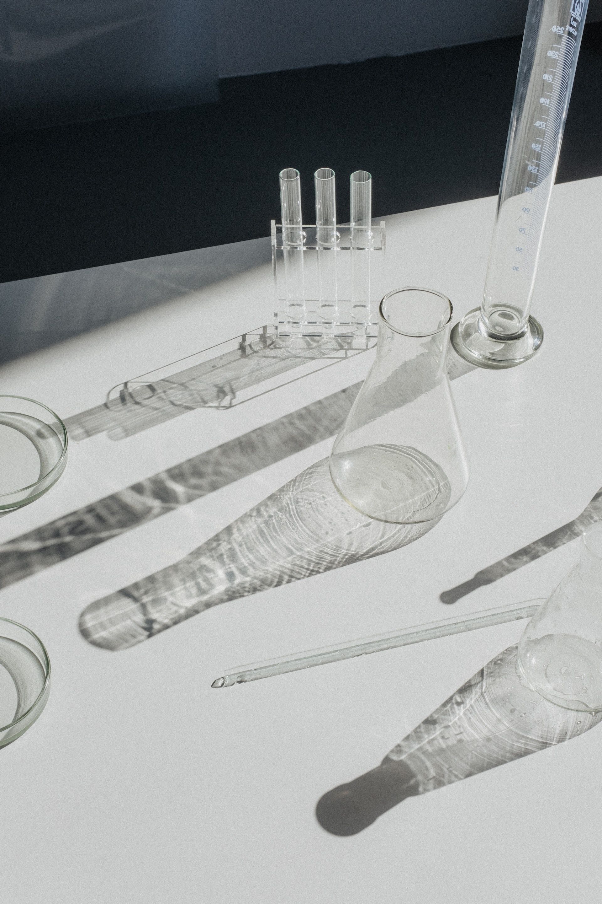 Laboratory glassware on a sunlit table, including test tubes, beakers, and petri dishes