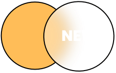 New online courses for 2024