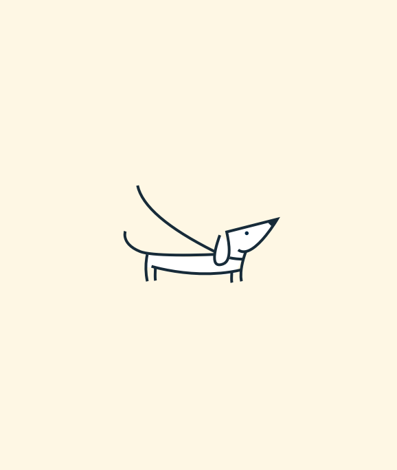 A minimalist line drawing of a dachshund on a leash against a light background.