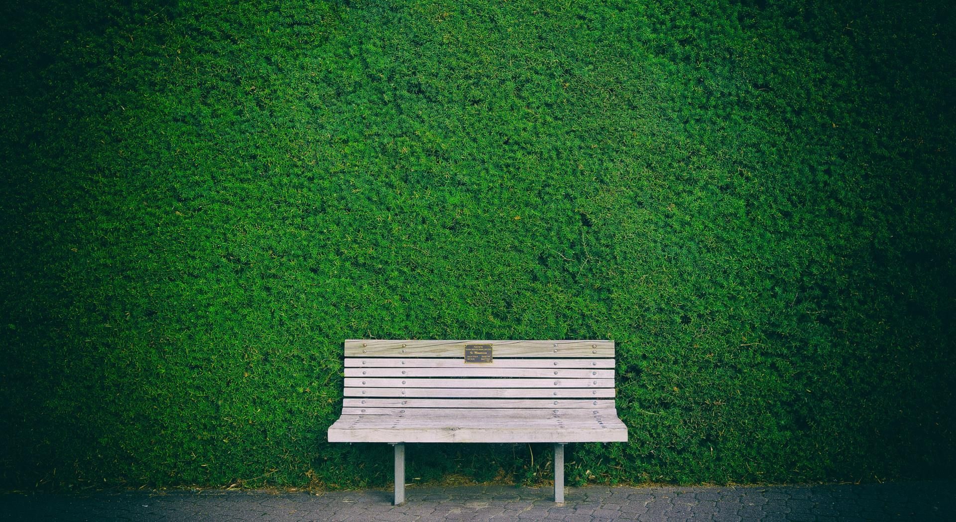 A white bench in front of a green grassy wall, with a dark path along the bottom.