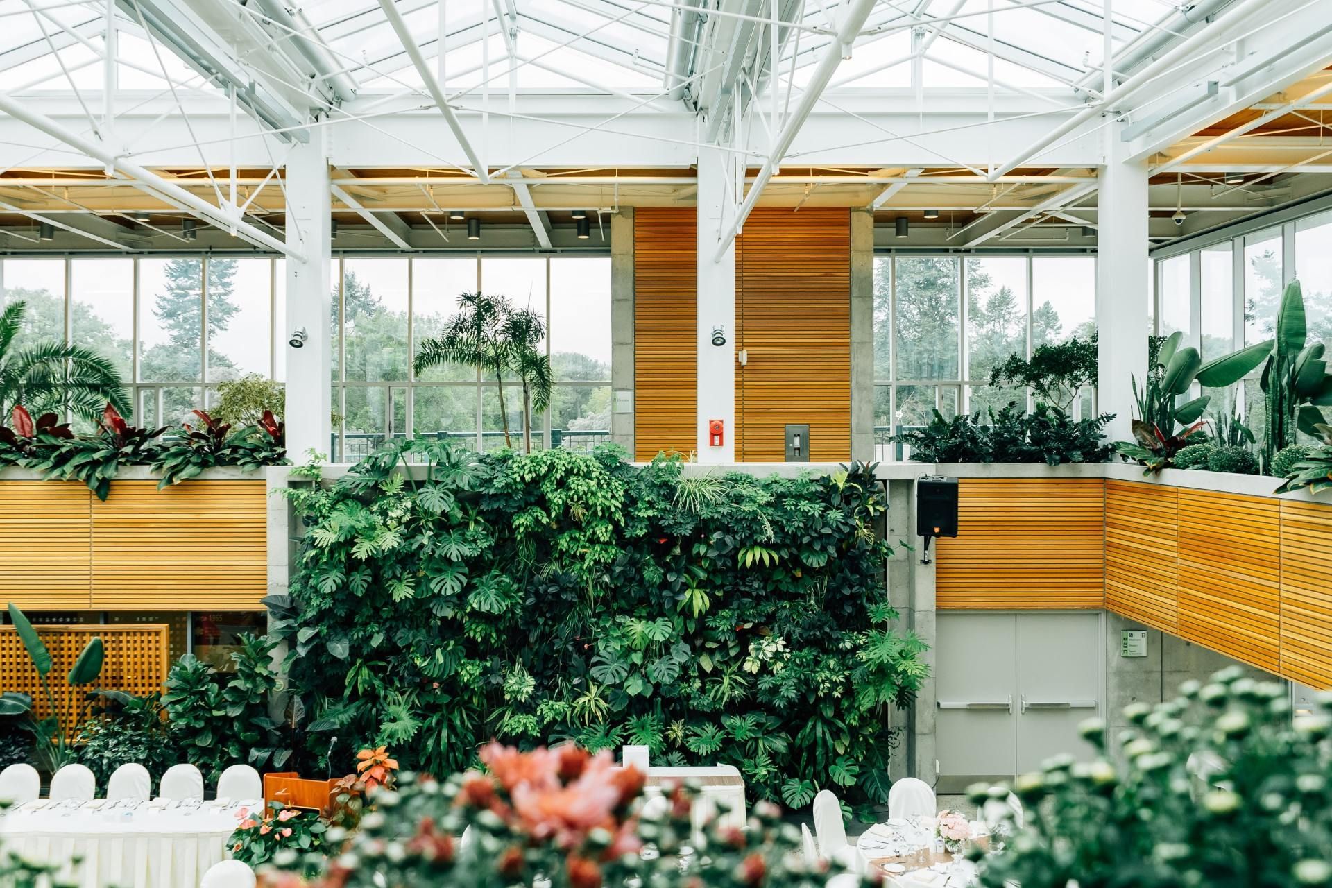 Indoor greenhouse with lush green plants, white steel beams, and wood-paneled walkways