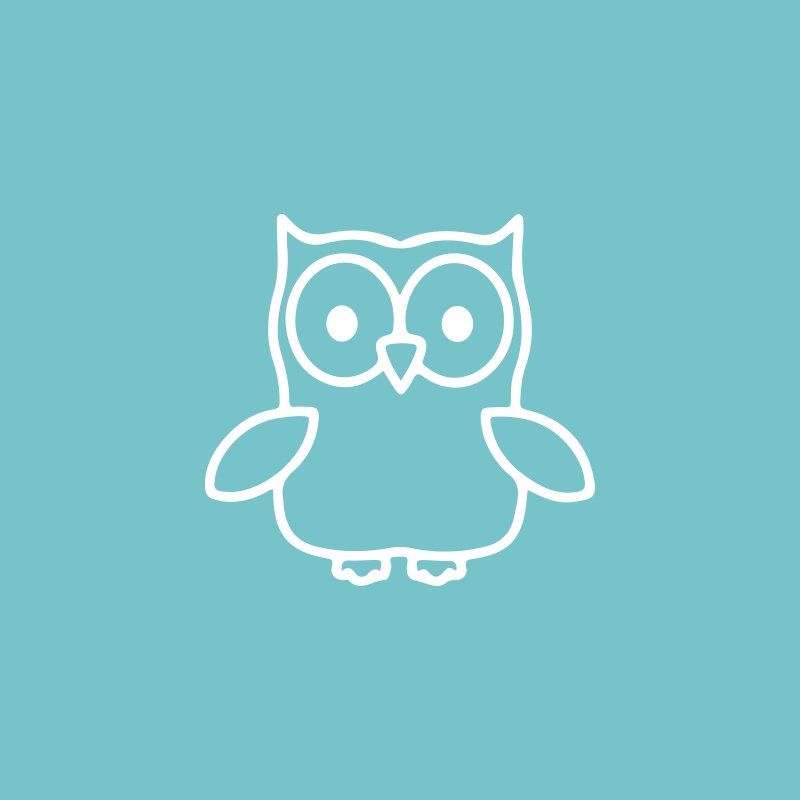 White line-art owl icon on a teal background