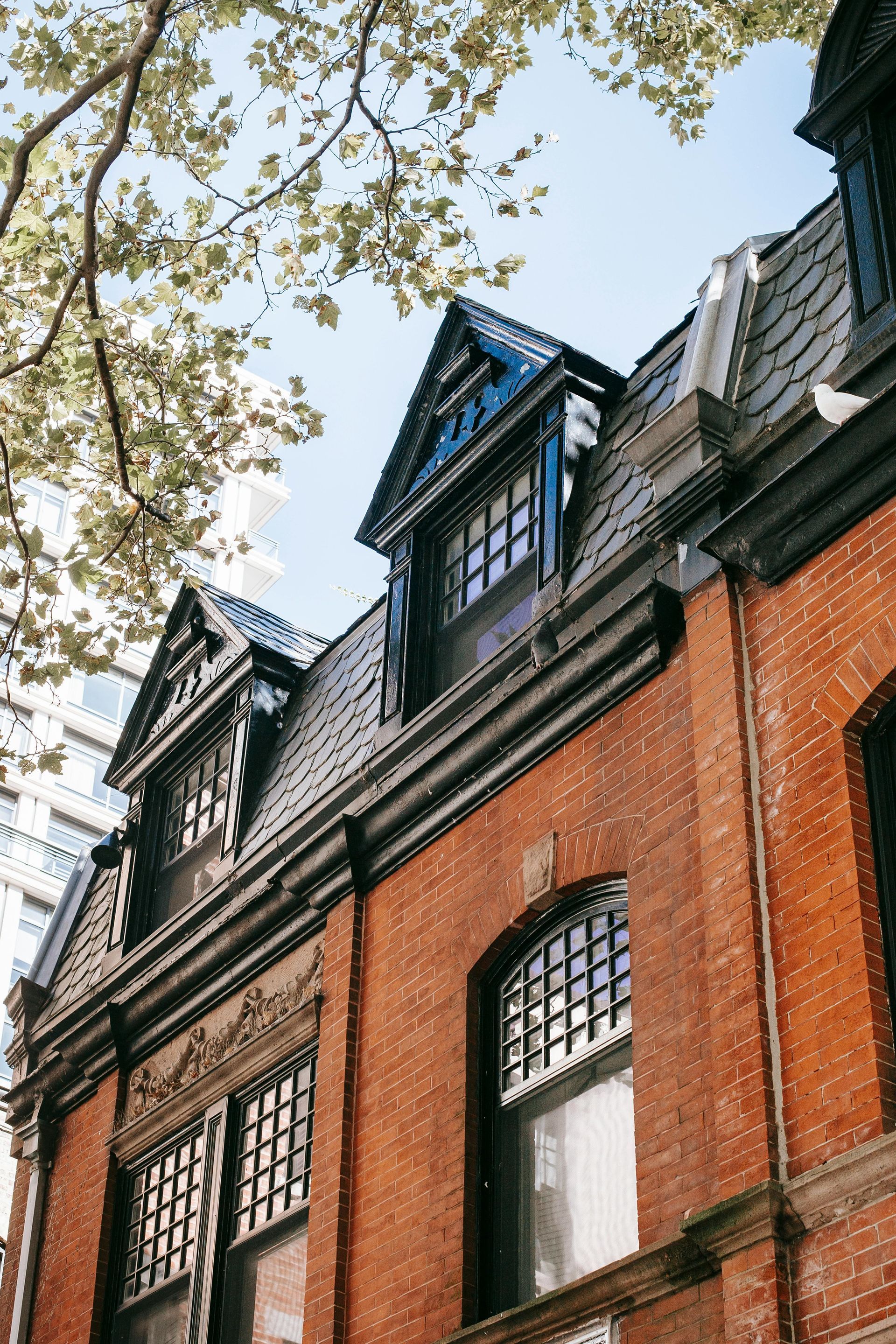 Brick building with black roof and triangular dormers; branches in the sky.