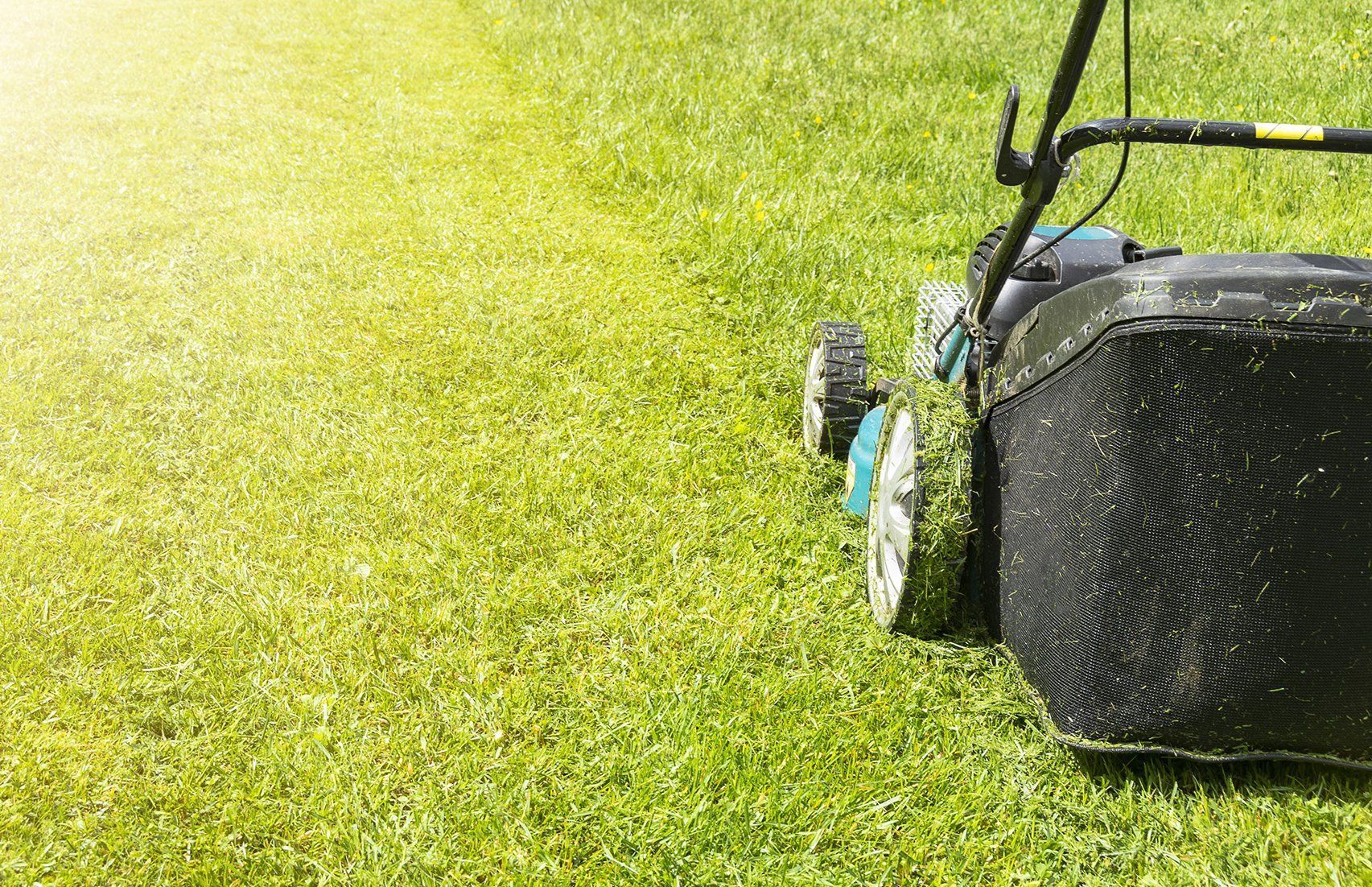 Black lawn mower on green grass, cutting a bright lawn