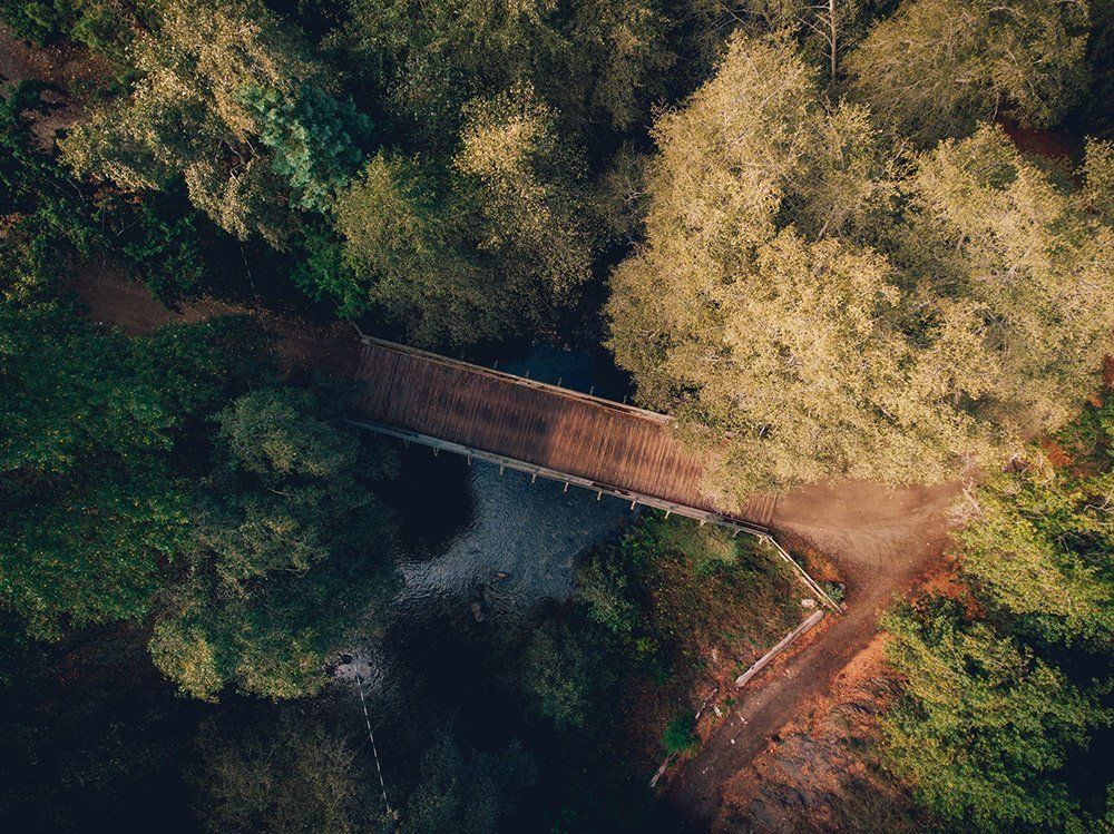 Vista aérea de un puente de madera que cruza un arroyo oscuro a través de un denso bosque verde.