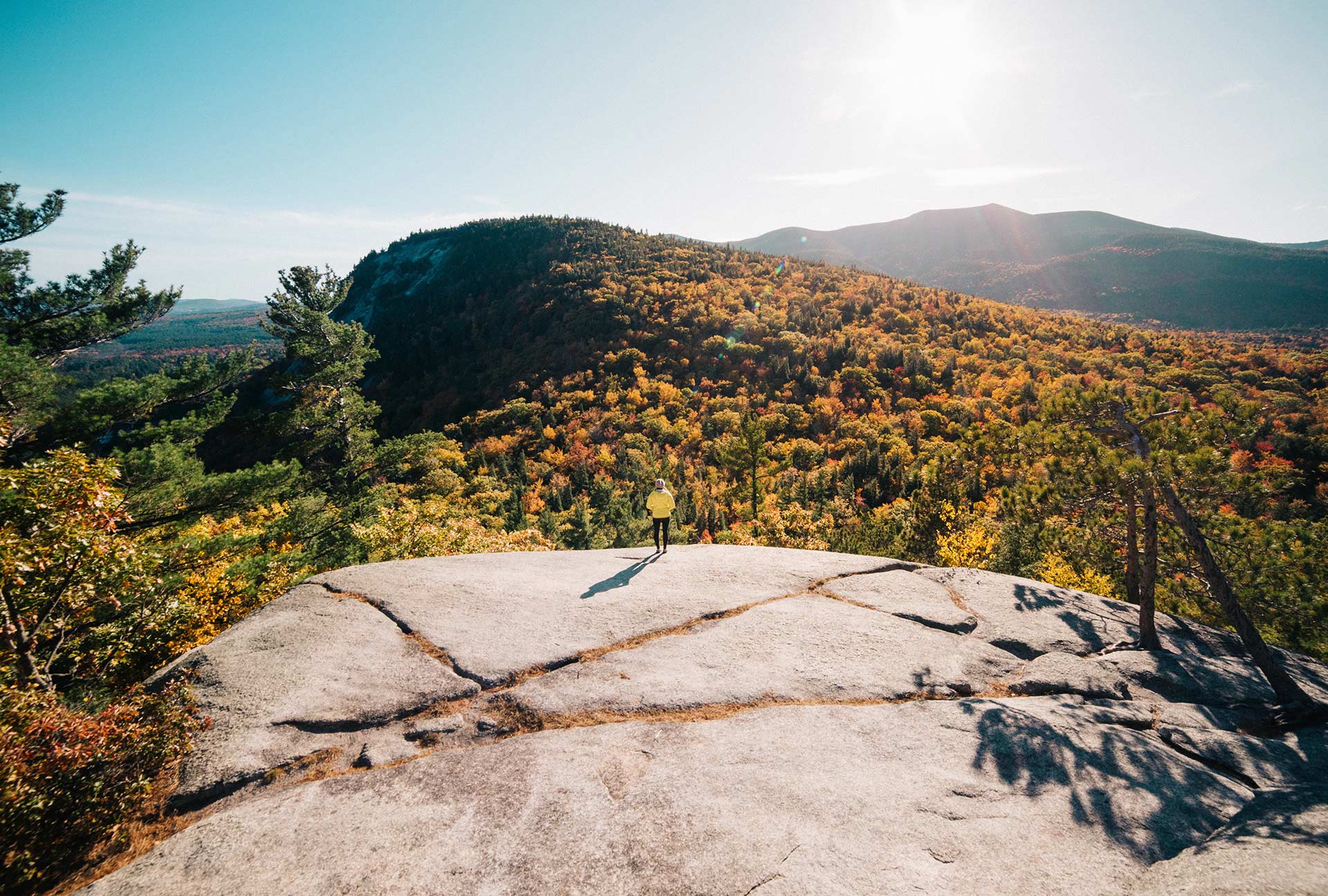 Rocky overlook above a valley of yellow wildflowers and distant hills under a clear sky